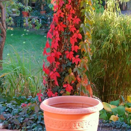 Ambiente Solutions Oberasbach