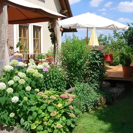 Ambiente Solutions *