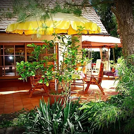 Ambiente Solutions * Оберасбах