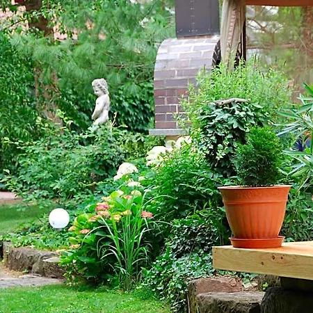 Отель Ambiente Solutions