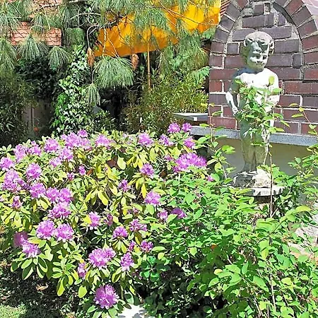 Ambiente Solutions Отель