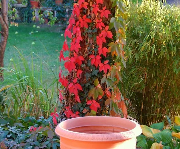 Ambiente Solutions Oberasbach